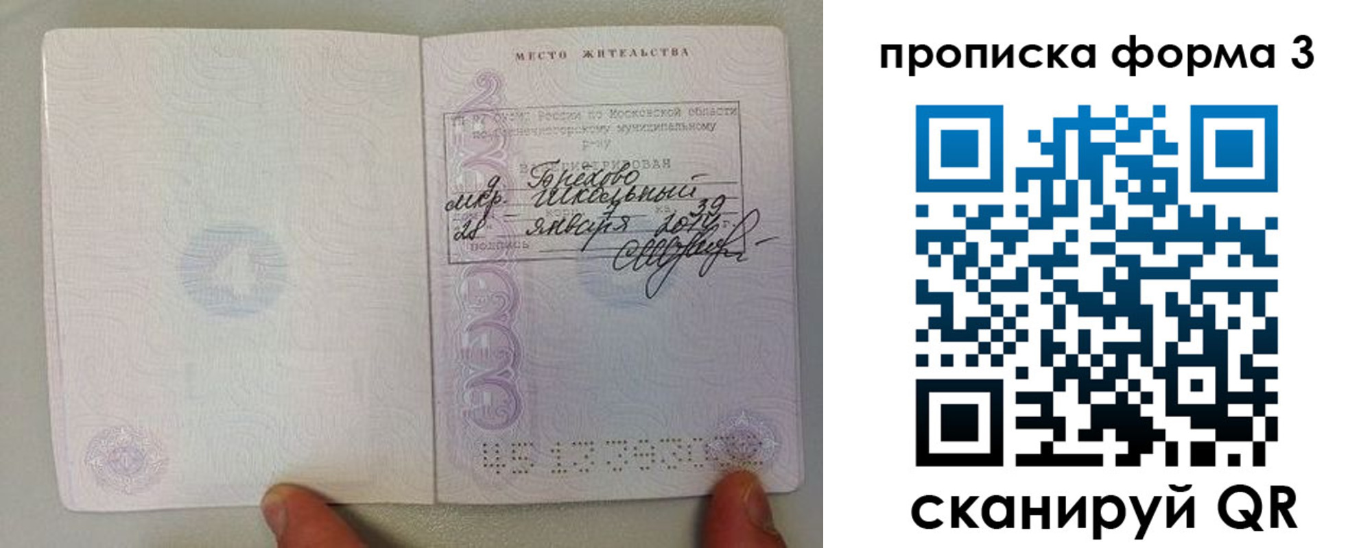 прописка гарантия в Шилке